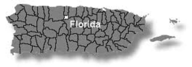 Fundacion de Florida