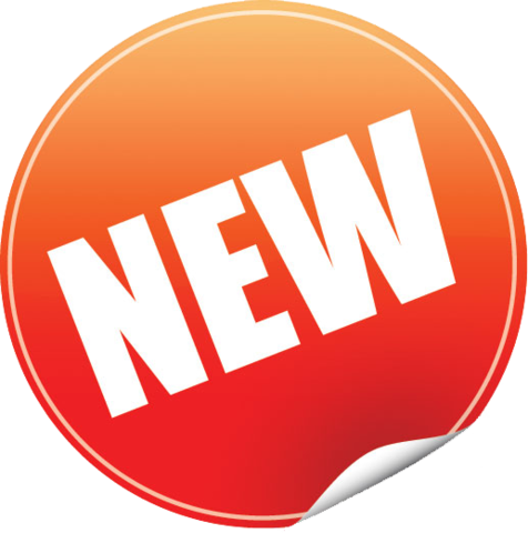 France tries to make a new government