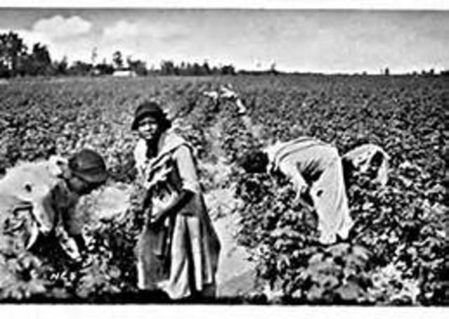 slavery in the chesapeake