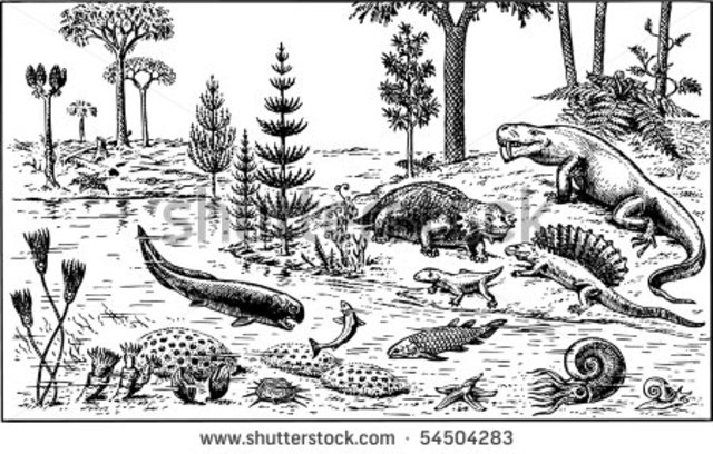Paleozoic Era