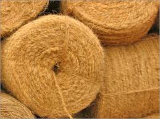Coir
