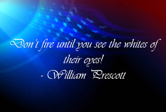 The Battle of Bunker Hill: The First Fight