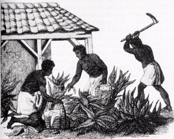 Freedom of slaves in Virginia