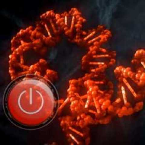 DNA Switches at U of Washington