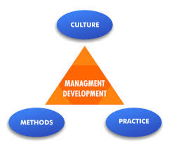 Culture and Management