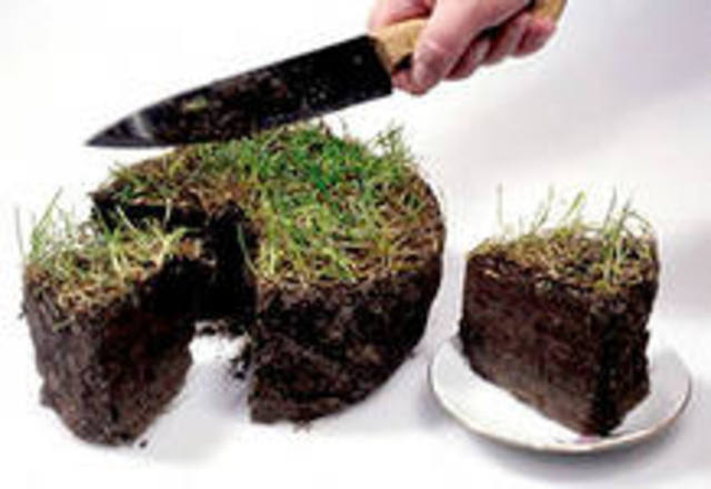 Украина сэкономит на земельных торгах