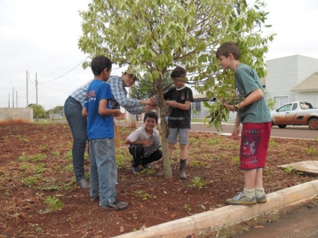 PROJETO “MARIPÁ, CIDADE DAS ORQUÍDEAS” BUSCA CONSCIENTIZAÇÃO AMBIENTAL ATRAVÉS DO CUIDADO E CULTIVO DAS FLORES