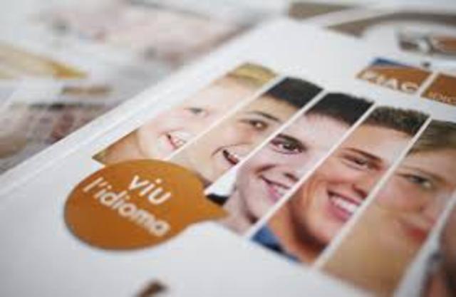 My first year in Fiac