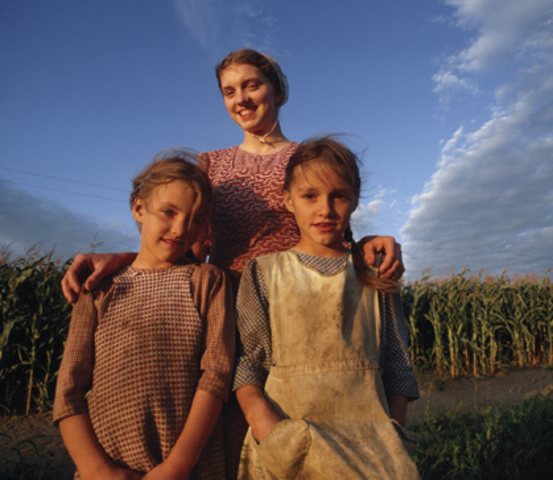 A baby and milking cows