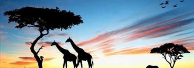 Universidaade de Sudáfrica