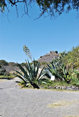 Concurso de fotografía (3er lugar)