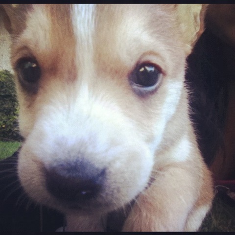 Llega a mi vida la criatura más hermosa del mundo