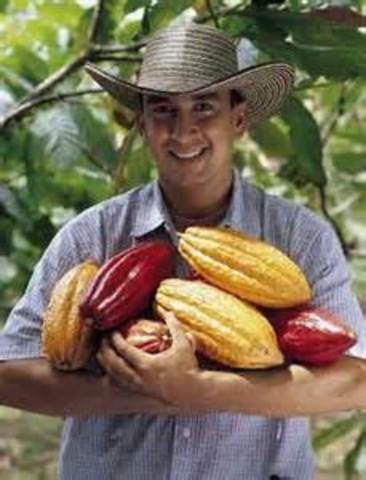 Beverage of the urban and rural working class.