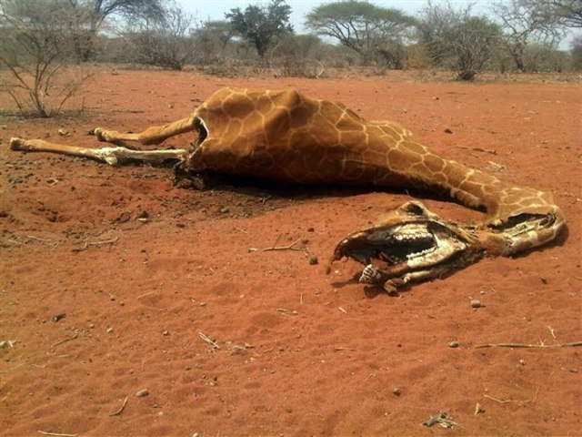 Major Famine in Sudan