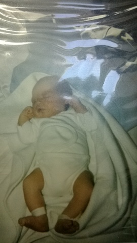 Nace mi hermano Michel