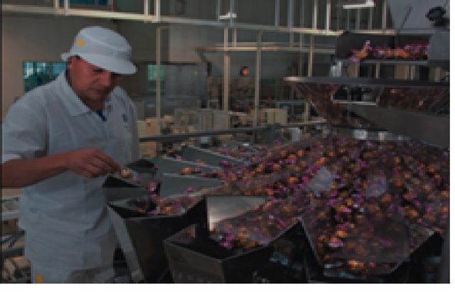 New Company Constitution