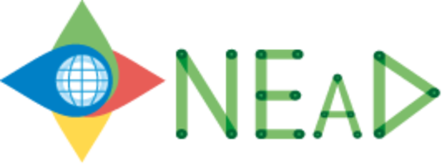 Criação do NEaD UFERSA