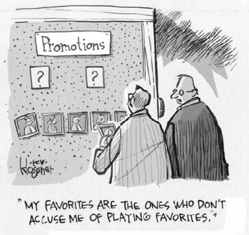 Leader-member Exchange (LMX)