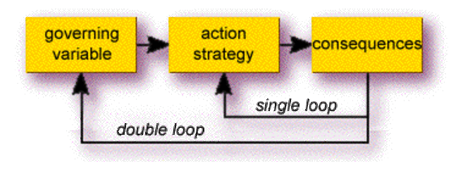 Organizational Learning