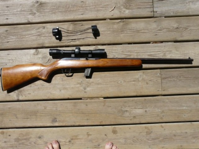 Première arme à feu