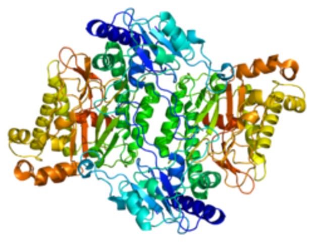 [PHASE I] Prolidase 2.0 Expression