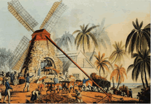 Wealth in Saint Domingue *