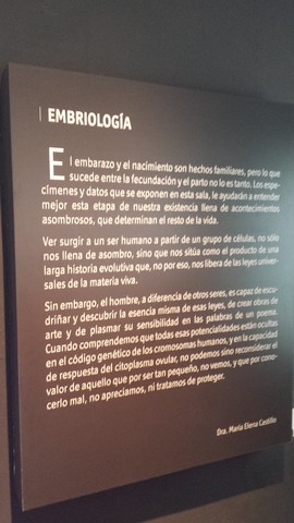 Embriología