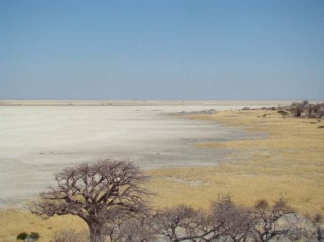 Major Famine in Sudan