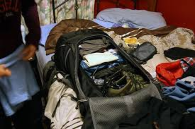 Journal 11, Searching through curiosity