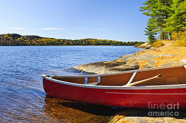 Arriving at the shore