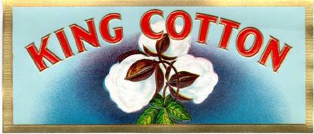 Cotton is King in The South