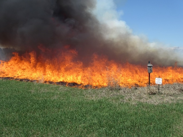 crops are burned in a wild fire