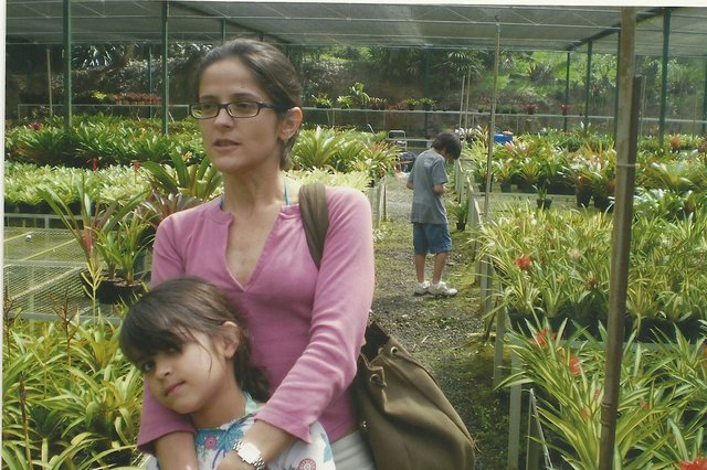 Angra dos Reis (Luísa X)