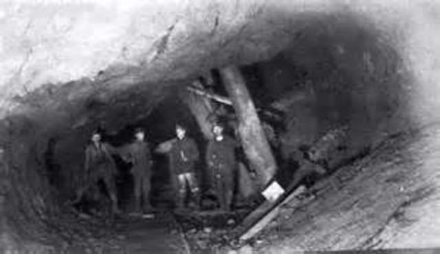 Larry Wang and The Mining Buisness