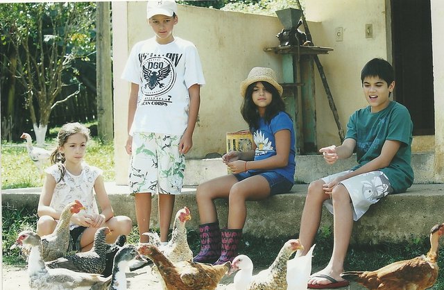 Fazenda da Simonetti (Luísa X)-