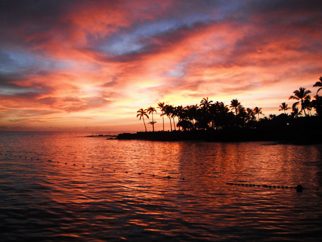 New, Free Land, as Far As The Eye Could See -- America