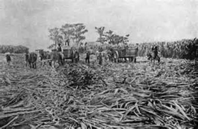 A New Life, a New Begining