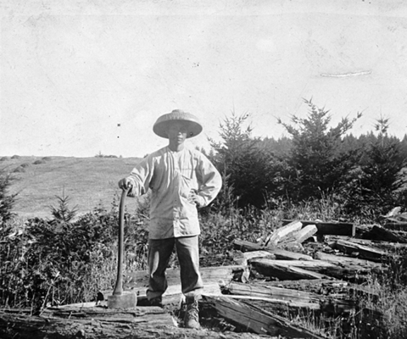 The Railroads of America