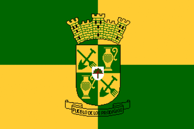 Bandera de Sabana Grande
