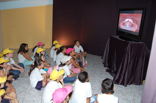 Criação da teleducação