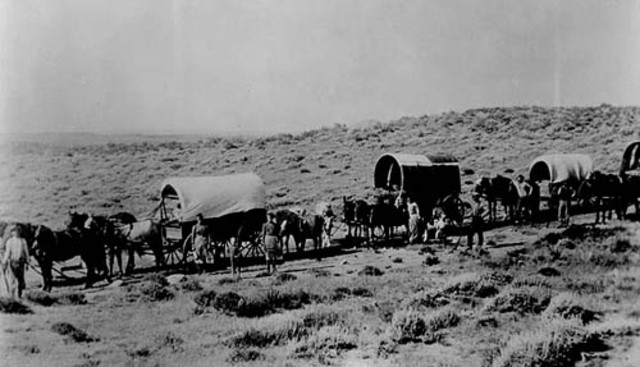 Wagon Train