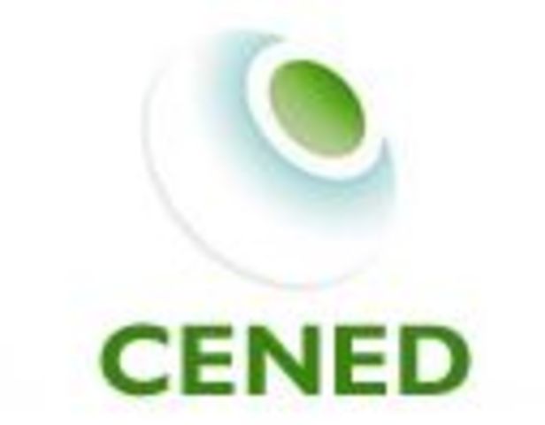 1995 - Centro Nacional de Educação a Distância (CENED)