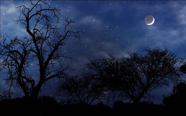 Night of Power and Excellence