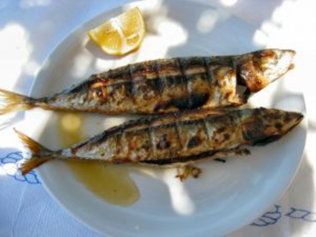 The Greekness of Fish in Plautus' Captivi