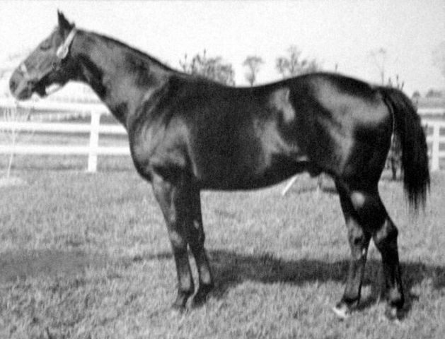 Migrating to the West