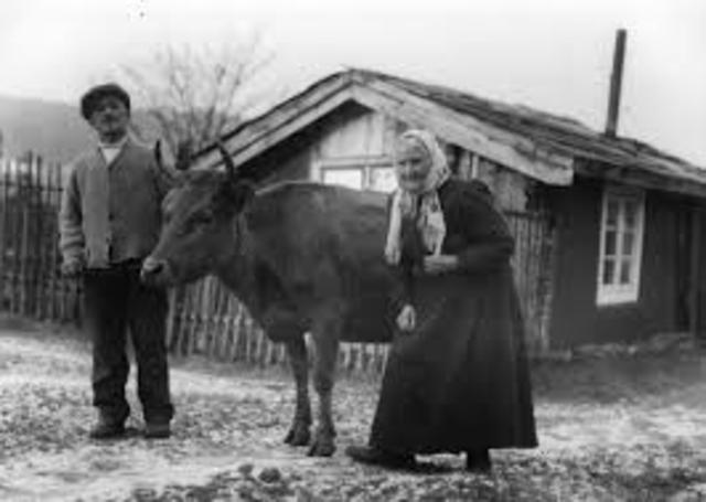 Husmannsvesenet skyter fart