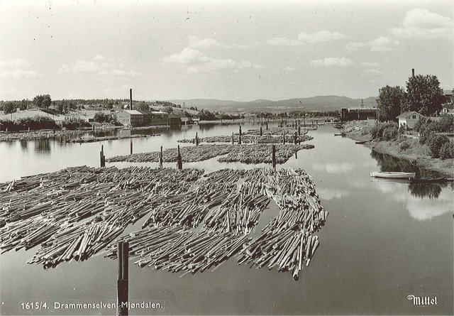 Vekst i trelasthandel og fiskerier