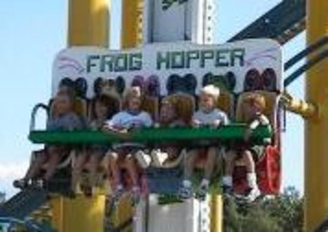 Frog Hopper