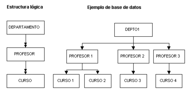IMS de IBM | Estructura de datos jerárquica
