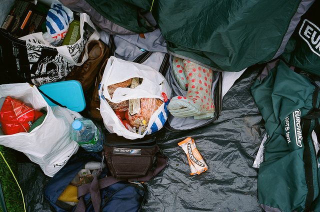 Crabbe makes a mess near te tent